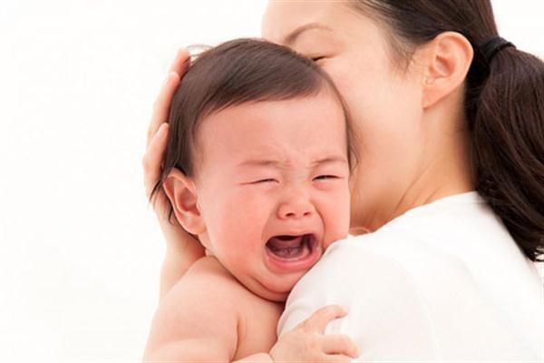 Miếng dán hạ sốt Pigeon của Nhật Bản hộp 12 miếng hình 1