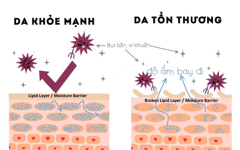 Sữa dưỡng trắng da và dưỡng ẩm Rice Ceramide Moisture Emulsion The Face Shop 150ml hình 8