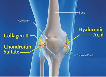 Collagen dạng nước hàm lượng cao nhất thế giới Collagen 20000 Plus MadreX Nhật Bản hộp 10 chai hình 5