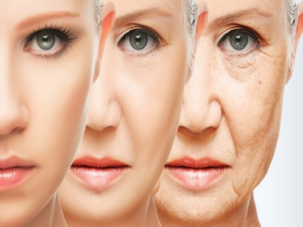 Kem dưỡng ẩm cho da khô, chống lão hóa Ex Beaute Extraqua Cream của Nhật Bản 30g hihnfh 5