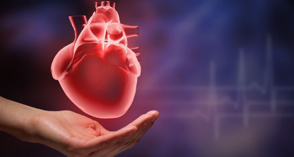 Thuốc CoQ10 300mg hỗ trợ sức khỏe tim mạch có tốt không Giá bao nhiêu hình 2