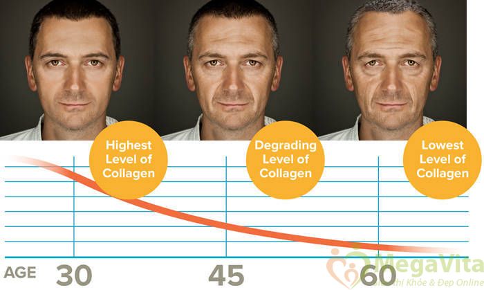 Viên uống Collagen cho nam giới chống lão hóa, củng cố xương khớp Youtheory Men Collagen type 1, 2 & 3 của Mỹ hộp 390 viên hình 1