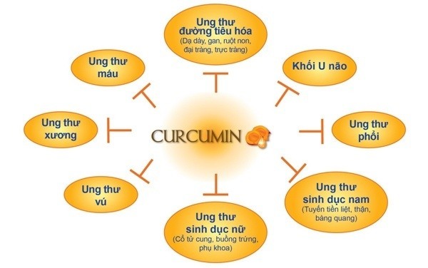 Viên uống tinh nghệ vàng phòng ngừa ung thư, giải độc gan, làm đẹp da Puritan Pride Turmeric Curcumin của Mỹ hộp 60 viên hình 6