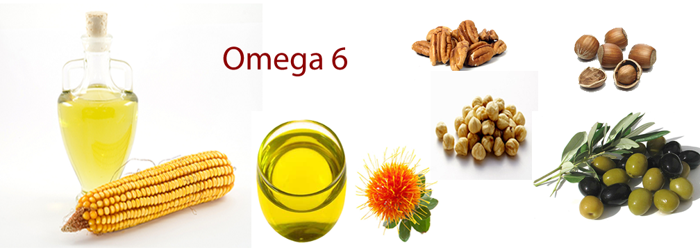 Viên uống bổ sung Omega 3,6,9 ổn định huyết áp, bảo vệ tim mạch Natrol Omega 3-6-9 Complex của Mỹ hộp 90 viên hình 5