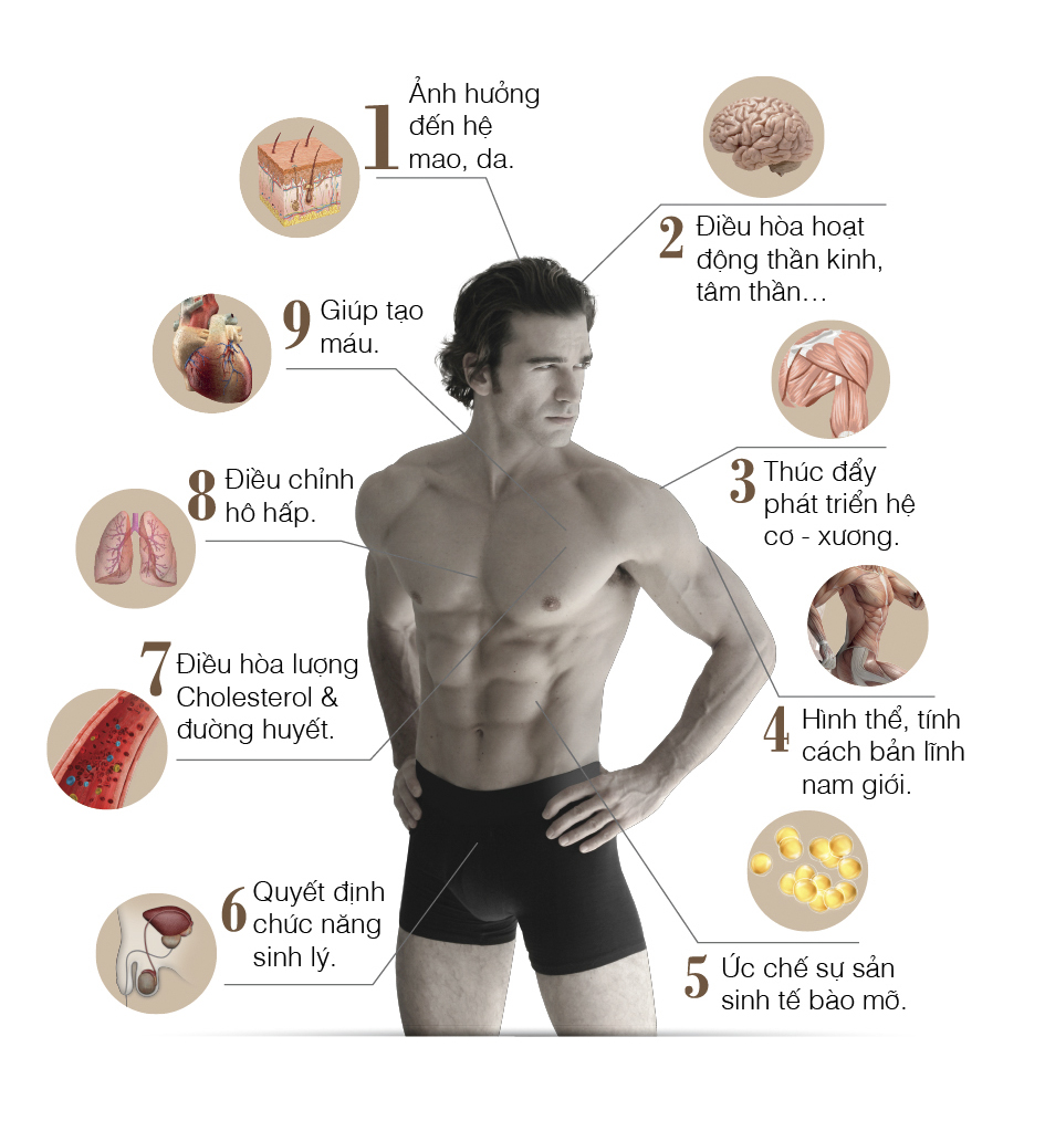 Viên uống tăng cường sinh lý, chống lão hóa cho nam giới GNC Mega Men Healthy Testosterone hộp 30 gói hình 4