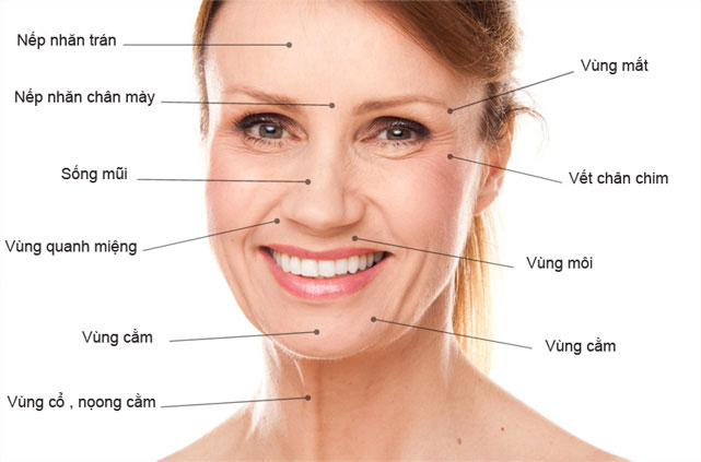 Viên bôi dưỡng da quanh mắt, trị quầng thâm mắt Jan Marini Age Intervention Dark Circle Eye Defense của Mỹ hộp 60 viên hình 5