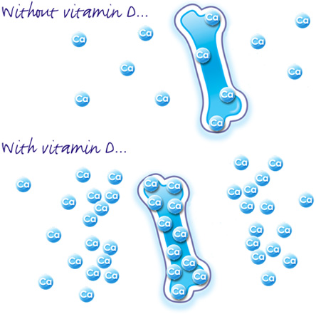 Viên uống bổ sung canxi, tăng cường sức khỏe xương khớp nature made calcium magnesium zinc with vitamin d của mỹ hộp 100 viên