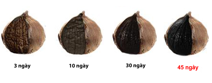 Tỏi đen cô đơn cao cấp sng black garlic túi 500gr