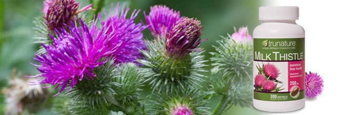 Trunature milk thistle