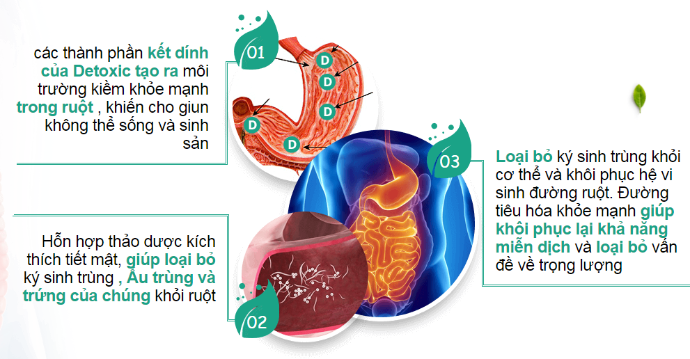 Detoxic chế phẩm diệt ký sinh trùng 20 viên