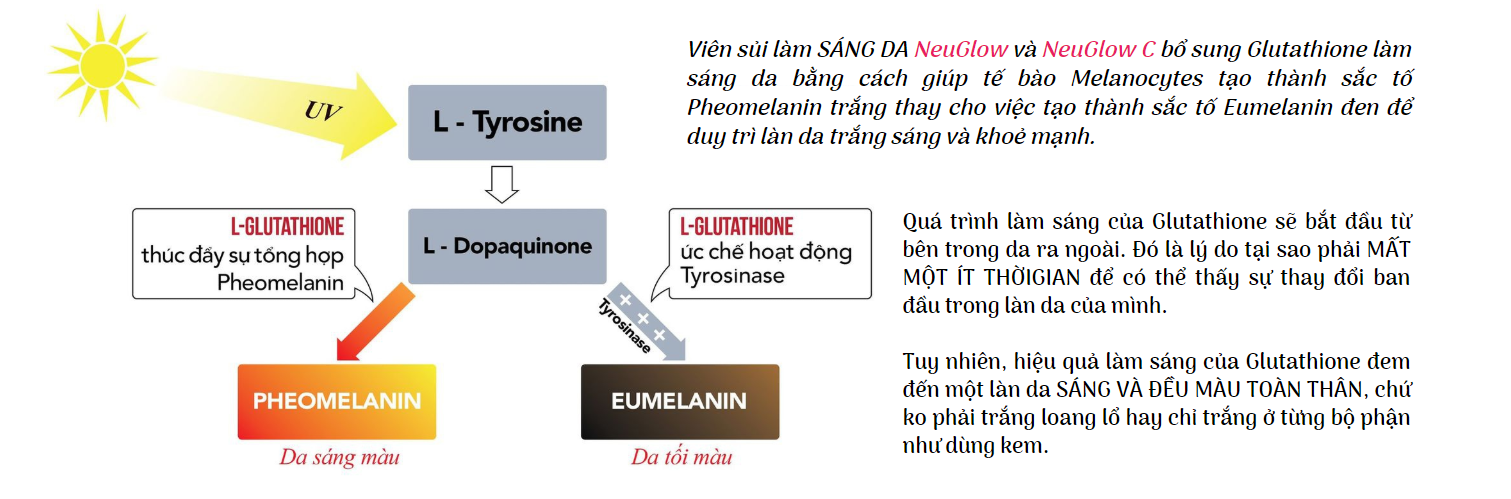 Công dụng của viên sủi trắng da cao cấp 28 ngày nueglow c premium white