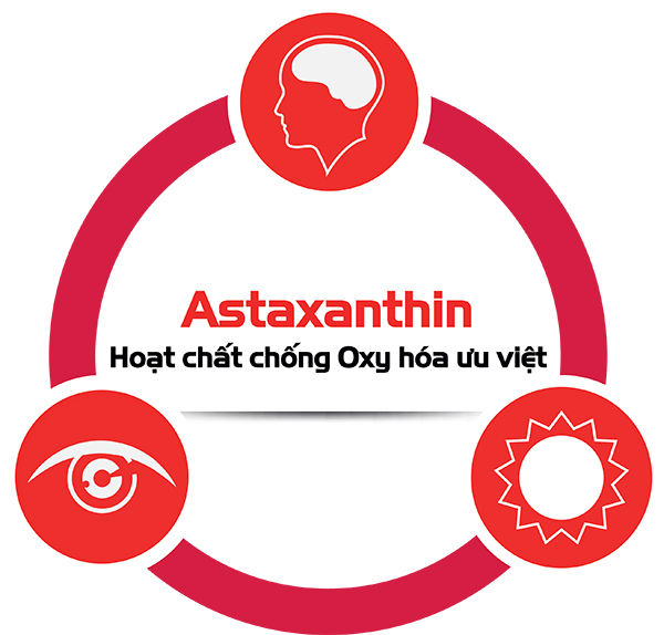 Astaxanthin là gì? có tốt cho sức khỏe không?