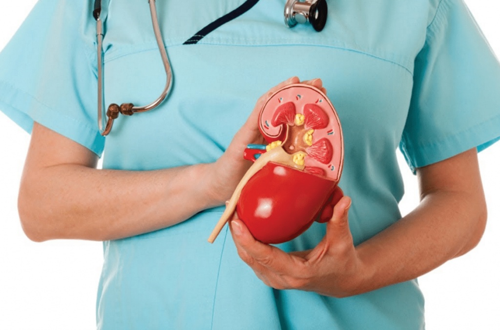 Naturalcare kidney care viên uống tăng cường chức năng thận 60 viên