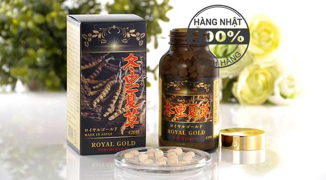 Công dụng của đông trùng hạ thảo tohchukasou royal gold
